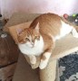 Spot (7)